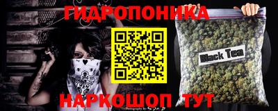 СК Кимры